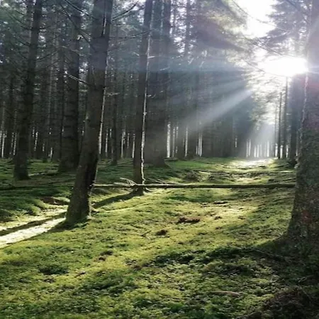 Semesterbostad Hillside